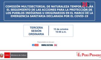 Comisión multisectorial de naturaleza temporal para el seguimiento de las acciones para la protección de los pueblos indígenas u originarios en el marco de la emergencia sanitaria declarada por el COVID-19 - primera parte